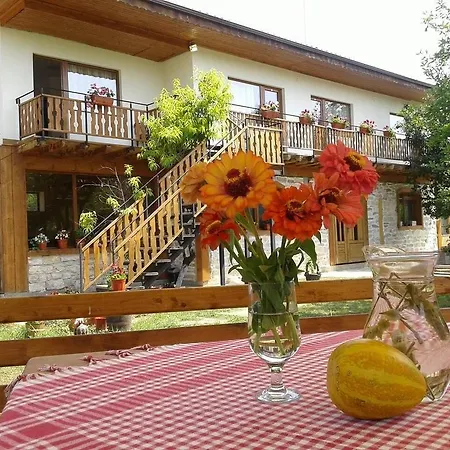 Vendégház Friends 3*